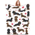 thumbnail image 1 of Manta de perro salchicha, regalo para niños, adultos, amantes de los perros salchicha, suave, cálida, ligera, acogedora, linda manta de perro salchicha para cama, sala de estar, sofá, decoración de, 1 of 4