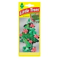thumbnail image 3 of Little Trees JUNGLE FEVER Car Air Freshener Hanging Scent Automotive Air Freshener, (24-Pack), 3 of 7