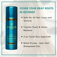 Rita Hazan Root Concealer Touch Up Spray Instant Spray To Cover Up