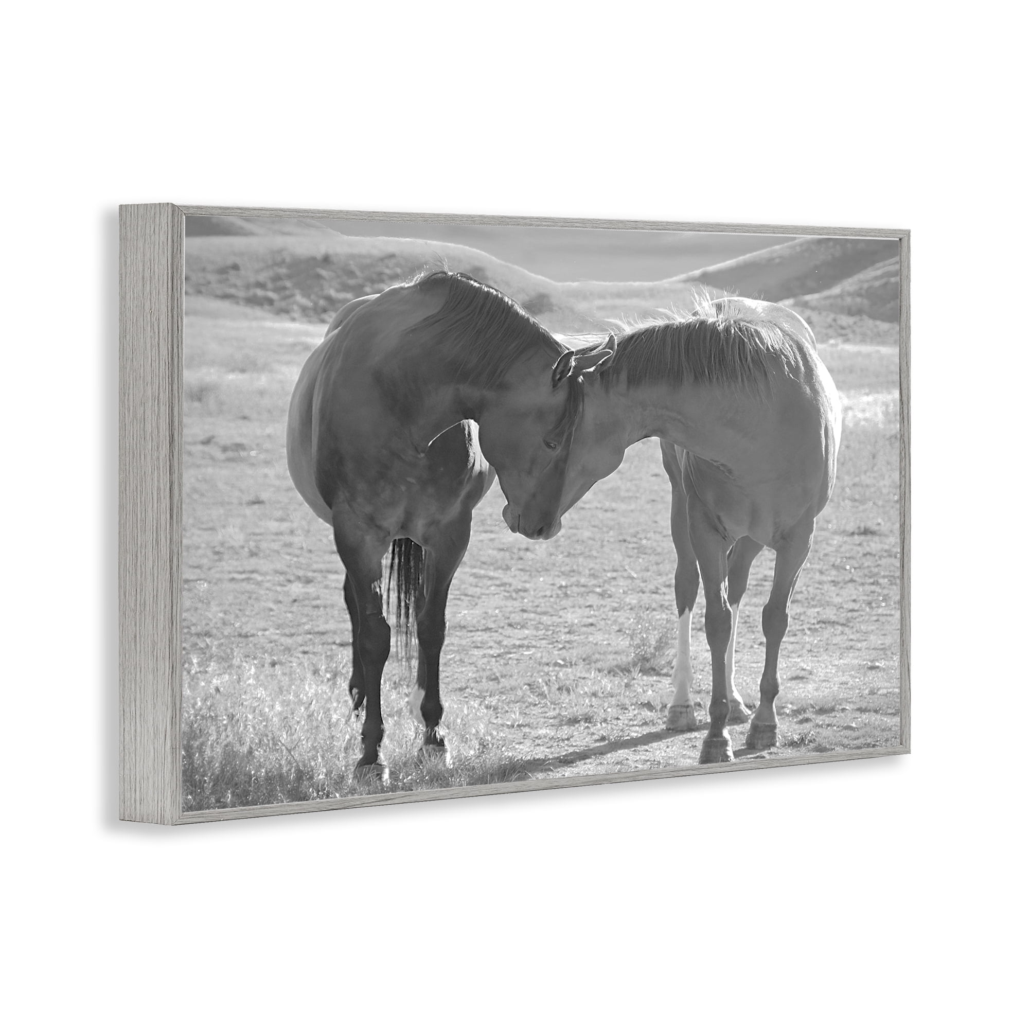 Stupell Industries Sweet Nothings Bond Between Horses Gray Framed Giclee Art, design by Steve Toole