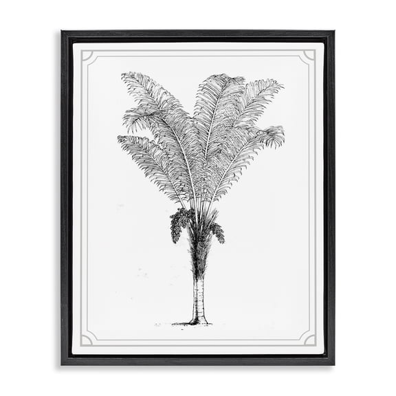 Vintage & Minimal Palm Black Framed Floater Canvas Wall Art, design by Lettered and Lined