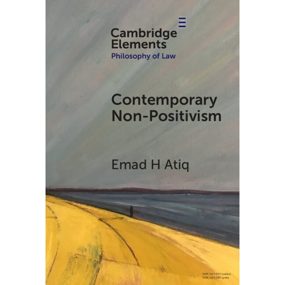 Elements in Philosophy of Law Contemporary Non-Positivism, (Hardcover)