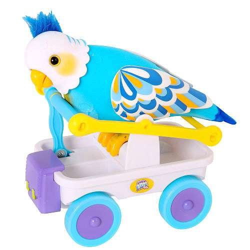 little live pets s3 cleverkeet