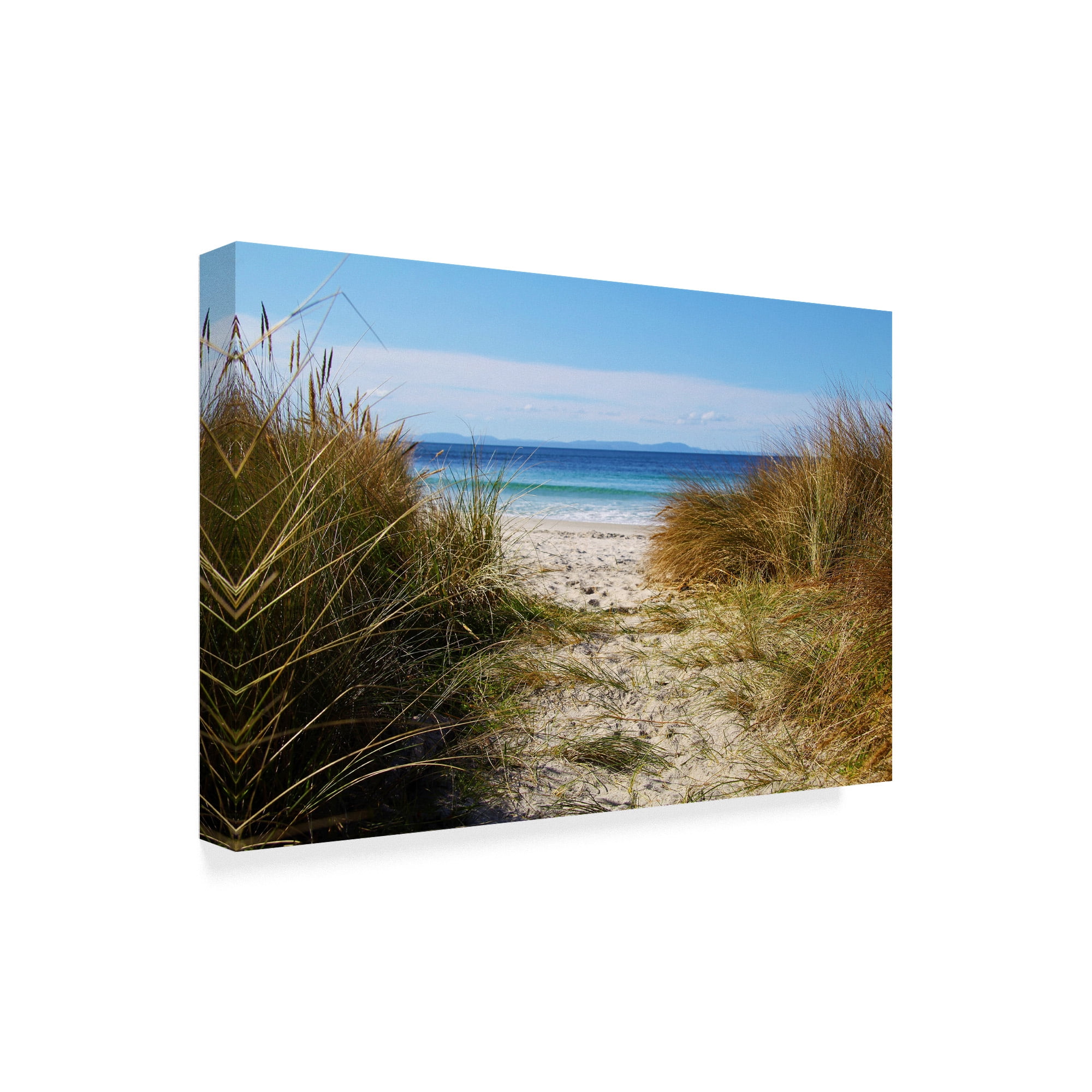 Trademark Fine Art 'To The Beach' Canvas Art by Incredi