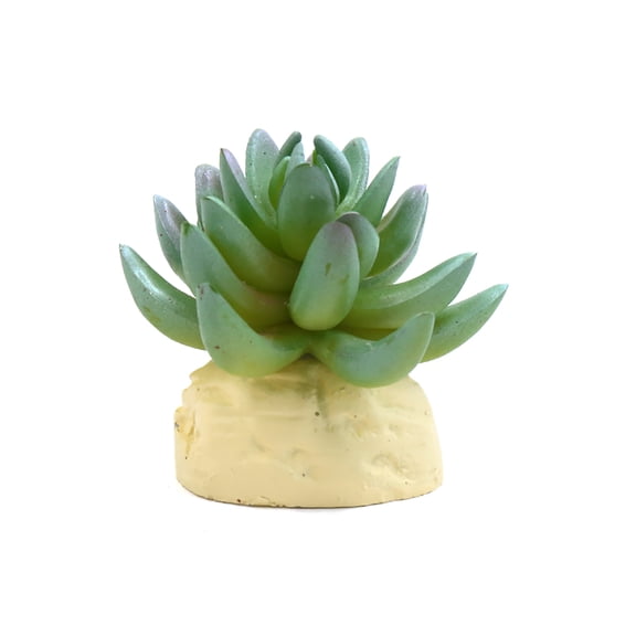 Unique Bargains Green Plastic Cactus Plant Terrarium Reptile Tank Habitat Decor