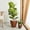 Brown, variant on DEGUO 2-Pack Smart Self-Watering Planter Pot for Indoor and Outdoor ,10 in & 5 in- White