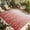 Red, variant on Blue Floral Outdoor Rug for Patio/Deck/Porch, Non-Slip Large Area Rug 5 x 7 Ft, Gradient Stripe Garden Plant Branch Texture Indoor Outdoor Rugs Washable Area Rugs, Camping Rug Carpet Runner