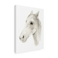 thumbnail image 2 of Annie Warren 'Ivory Stallion II' Canvas Art, 2 of 4