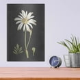 thumbnail image 4 of Luxe Metal Art 'Naturalist Bloom Study' by lettered & lined, Metal Wall Art, 12"x16", 4 of 9