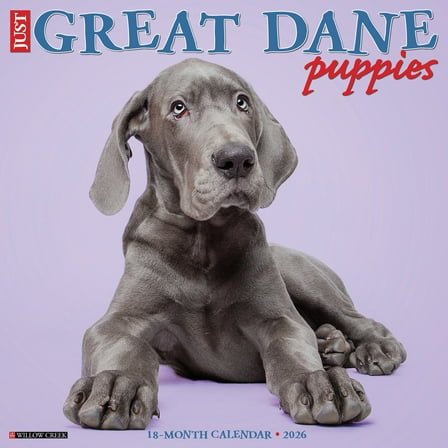 Great Dane Puppies 2026 Wall Calendar