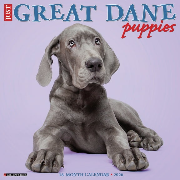 Great Dane Puppies 2026 Wall Calendar