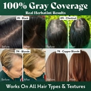 Herbatint 2N Brown - Permanent Hair Dye For Women, 100% Grey Coverage - Ammonia-Free, Alcohol-Free & Vegan - 5.75 fl oz