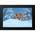thumbnail image 2 of Fitzharris, Tim 14x11 Black Modern Framed Museum Art Print Titled - Red Fox in Snow, 2 of 5