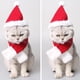 thumbnail image 1 of 2 Pcs Sombrero Con Bufanda Disfraz Perro Complimentos Mascota Color Brillante Ecológico Duradero Fernando Sombrero de Pastel de Navidad PET, 1 of 8