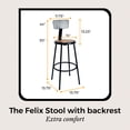 thumbnail image 3 of Hampden Furnishings Felix Collection 30-Inch Steel Stool with Backrest, Black, AssemblyReady, 3 of 6
