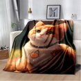 thumbnail image 1 of Couverture Ragdoll Chat Persan Calico Chat Garfield Couverture Douce pour Maison Chambre Lit Canapé Couverture Enfants, 1 of 7