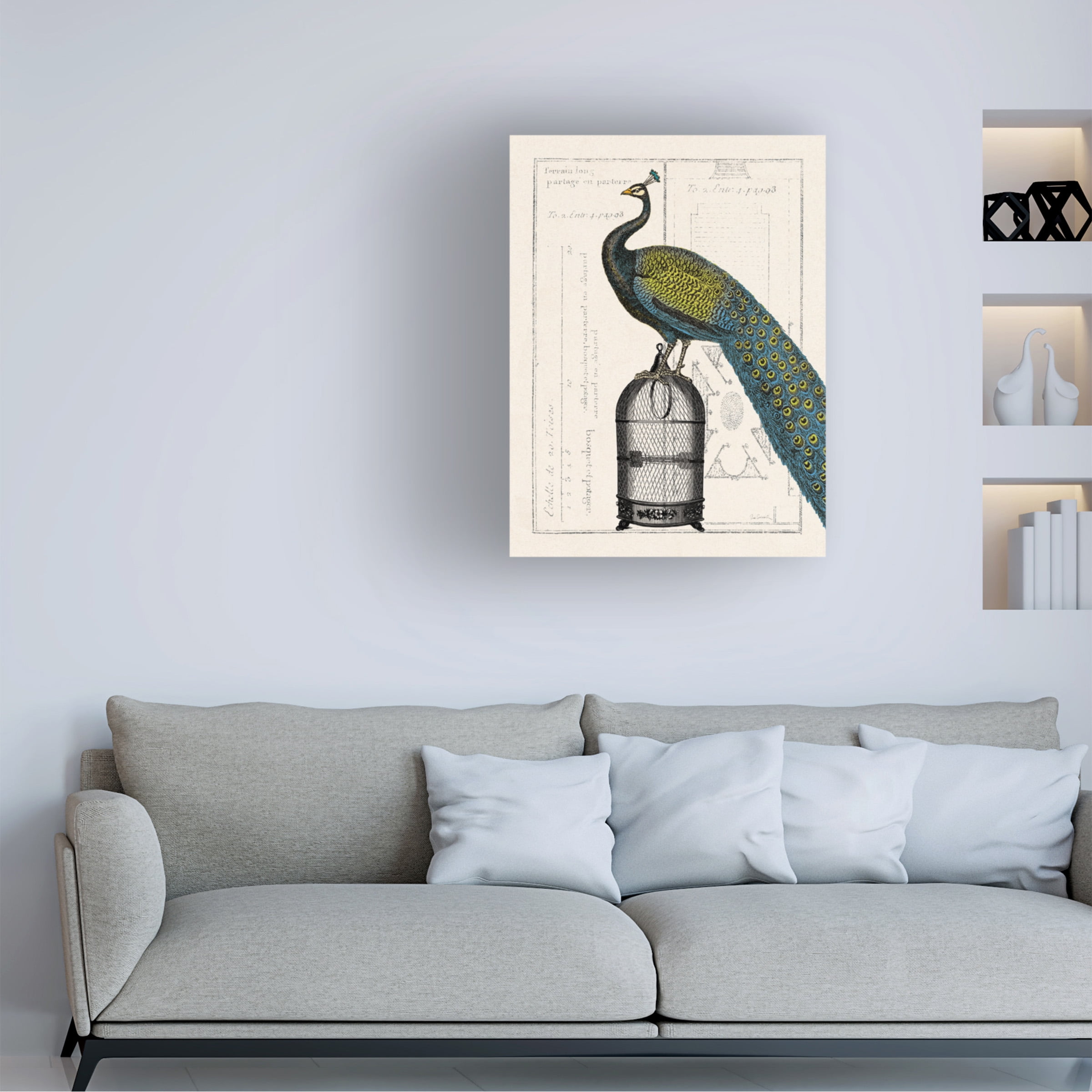 Trademark Fine Art 'Peacock Birdcage II' Canvas Art by Sue Schlabach