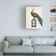 thumbnail image 2 of Trademark Fine Art 'Peacock Birdcage II' Canvas Art by Sue Schlabach, 2 of 4