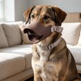 thumbnail image 3 of Duck Shaped Dog Muzzle, Breathable Soft Silicone Anti Biting Chewing Muzzle with Adjustable Strap for Medium Dogs, 3 of 6