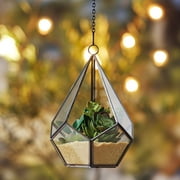 Better Homes & Gardens Metal and Glass Hanging Terrarium, 6.2 in Dia x 8.9 in H