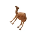 thumbnail image 4 of Wweixi 1/64 Animal Figure Camel Tiny for Architecture Model Landscape Layout Desert, 4 of 6