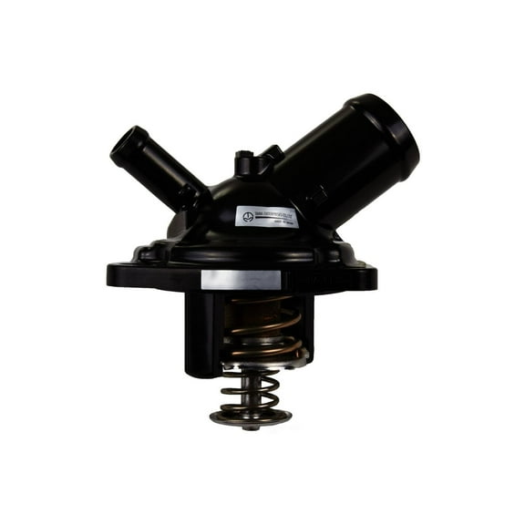 Engine Coolant Thermostat