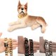 thumbnail image 2 of Collar de cadena para perro grande, Gargantilla de entrenamiento de acero inoxidable, Collar cubano de alta resistencia para perros grandes, Pitbull, Bulldog, 19MM, 2 of 4