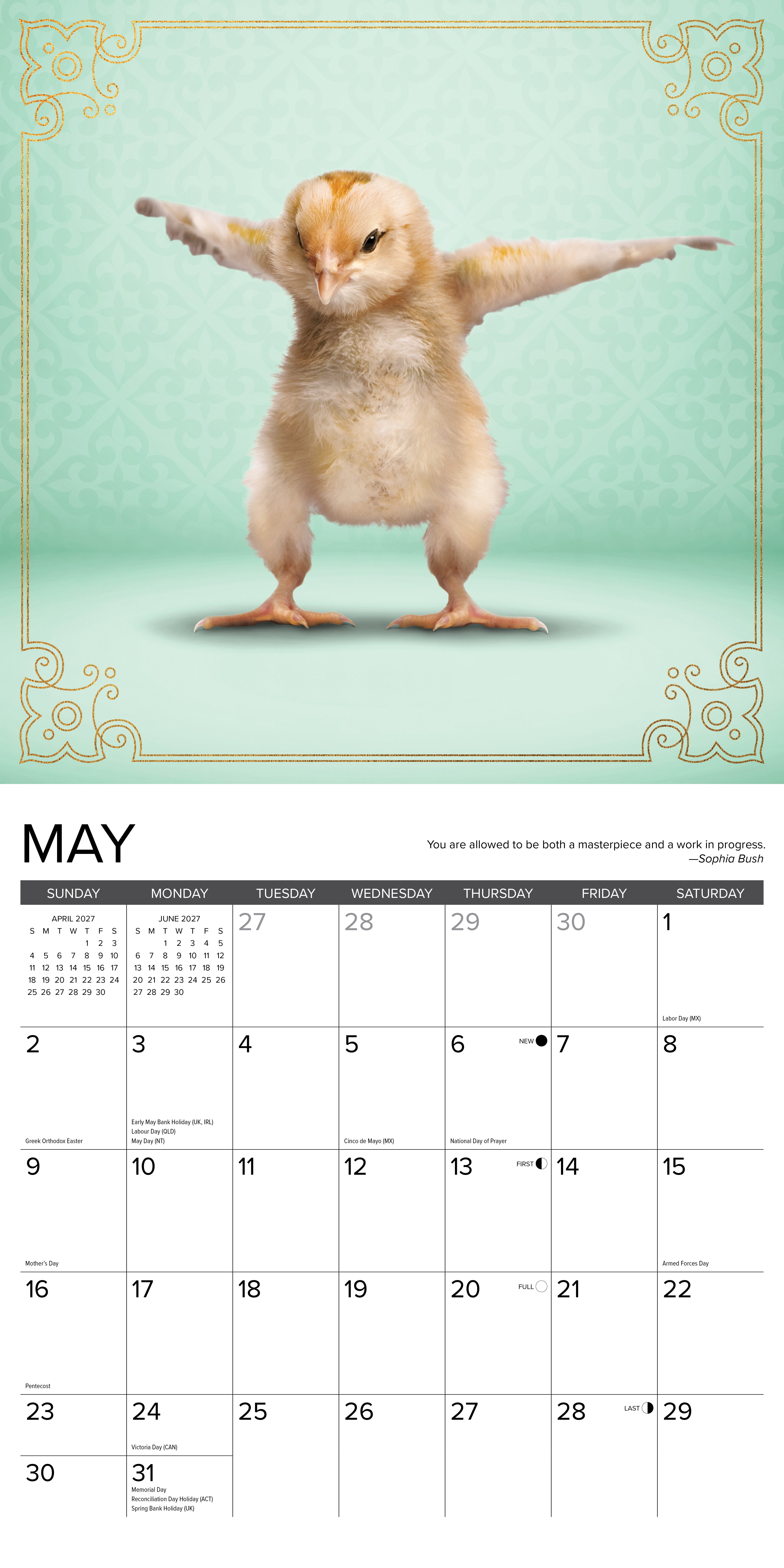 Willow Creek Press, Farm Yoga 2027 Wall Calendar