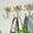 Gold, variant on Small Bow Wall Hook,Gold Wall Mounted Functional Hooks,Antique Gold Cast Iron Hook for Coats,Bags, Bath Towels,Room Decorations,Girls Room,Bathroom,Office