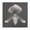 Unframe-style, variant on Robert Mapplethorpe Orchid (8) Canvas Famous Paintings, Wall Art Posters, Decorative Hanging Pictures Artworks Canvas Poster Room Aesthetic Wall Art Prints Home Modern Decor Gifts 16x16inch(40x40cm)