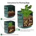 thumbnail image 3 of Matsuzay GAL Potato Grow Planter Contenedor Bolsa Bolsa Plant Growing Pot Ventana lateral Jardín y Patio No.1 Matsuzay HA026182-01, 3 of 6
