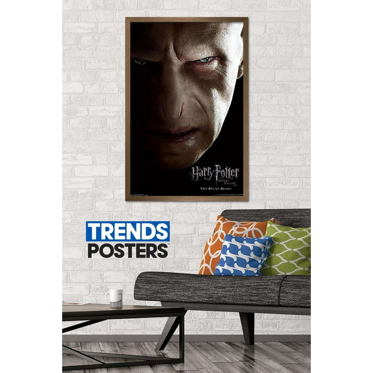 Harry Potter and the Deathly Hallows: Part 1 - Voldemort One Sheet Wall  Poster, 22.375 x 34, Framed 