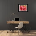 thumbnail image 3 of Merrill Images 14x12 Black Ornate Wood Framed with Double Matting Museum Art Print Titled - Fiji-Taveuni Island Close-up of a red-tipped Fern, 3 of 4