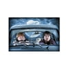 Harry Potter Harry & Ron Window Cover