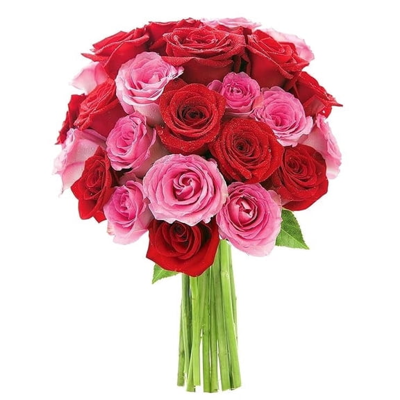 KaBloom : Bouquet of 12 Red Roses, 12 Pink Roses, Next-Day Delivery, Gift for Every Occasion.
