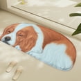 thumbnail image 6 of Hgallory Cute Dog Polyester Shower Bath Rug for Home Bathroom Toilet, Non-Slip Household Water Absorbent Quick Drying Floor Mats for Entrance Bedroom, Modern Home Decor, 1PC, 16"x34", D, 6 of 6