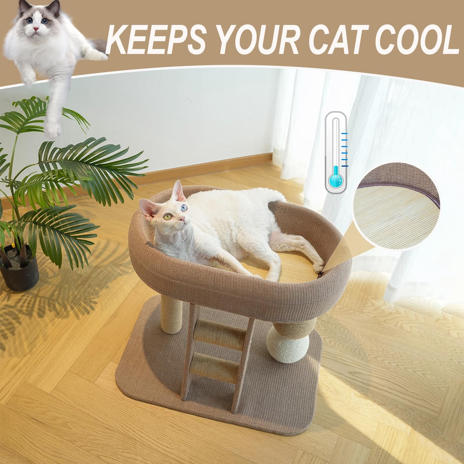 "Runway Circle" Cat Tree — Integrated Sisal Scratching Post, Ladder, and Cat Condo — Durable, Scratch-Resistant Cat Toy