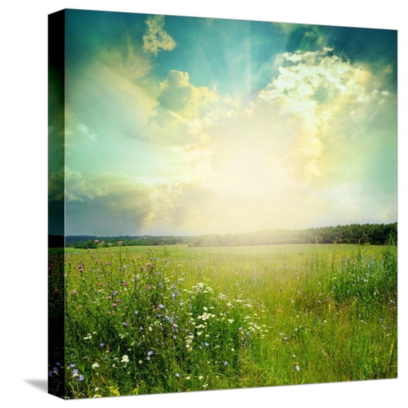 Art.com Green Meadow Under Blue Sky With Clouds Stretched Canvas Print Wall Art by Volokhatiuk, 16" x 16"