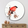 thumbnail image 1 of Designart - Red Bullfinch Bird On A Branch - Traditional Metal Circle Wall Art, 1 of 5