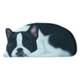 thumbnail image 2 of Jacenvly Christmas 3D Pet Dog Themed Indoor Outdoor Doormats, Non Slip, 2 of 8