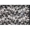 thumbnail image 2 of Zelouf Crackling Corded Embroidery Mesh  , Sewing, DIY, Crafts Fabric by the Yard, White/black, 1 Yard, 2 of 2