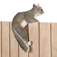 thumbnail image 2 of CLIMBING "CHIP" SQUIRREL DECOR, 2 of 10