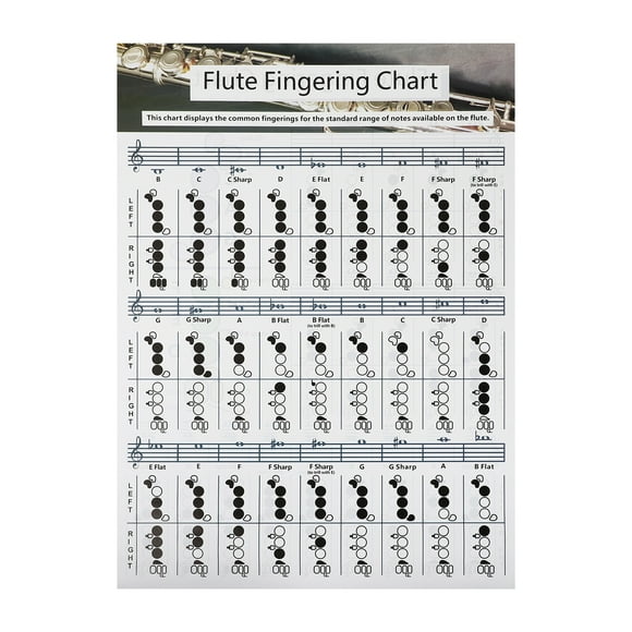 Practical Flute Finger Guide Chart Useful for Flute Beginners with 1 Set of Chord Notes