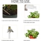 thumbnail image 4 of Nature's Nurturer, globos de riego automático de vidrio transparente de aplicación versátil, bebederos automáticos para plantas con flujo de agua ajustable, estéticos y reutilizables, diseño en forma, 4 of 8