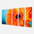 thumbnail image 2 of Orange Daisy Gerbera Flower Close up - Flowers Canvas Wall Artwork, 2 of 3