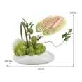 thumbnail image 2 of Ceramic Flowerware Simulation Flower Art Living Room Tea Table Artificial Flower Decoration Table Soft Decoration Arrangement, 2 of 6