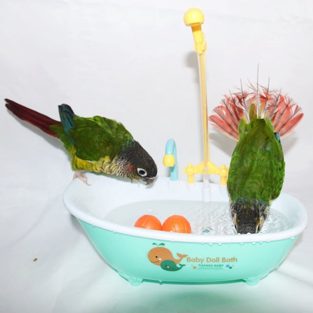 CBFFDC Boîte de Bain pour Perroquet Robuste Jouet Automatique pour Baignoire Perruches Réalistes Perruches Perroquet Cockatiel Conure Fournitures pour Oiseaux