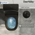 thumbnail image 6 of Liberty 12 in. Rough In 1-Piece 1.1/1.6 GPF Dual Flush Round Toilet in Matte Black, Black Button and Seat Included, 6 of 11