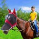 thumbnail image 4 of Cómoda máscara antimosquitos para cara de caballo, máscara para moscas, máscara para moscas de caballo, nariz larga Xemadio 220923-2, 4 of 9