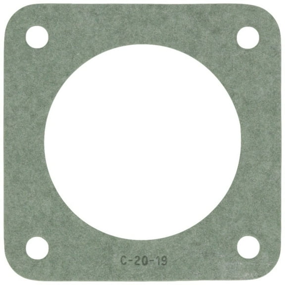 APC Sta-Rite APCG3092 Flange Gasket C20-19 for Commercial Pool Pump